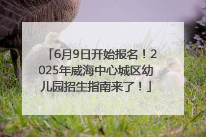 6月9日开始报名！2025年威海中心城区幼儿园招生指南来了！