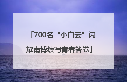 700名“小白云”闪耀南博续写青春答卷