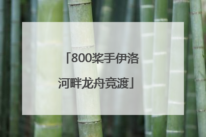 800桨手伊洛河畔龙舟竞渡