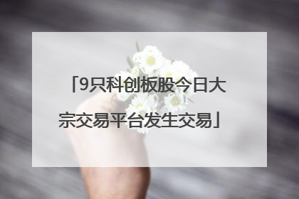 9只科创板股今日大宗交易平台发生交易