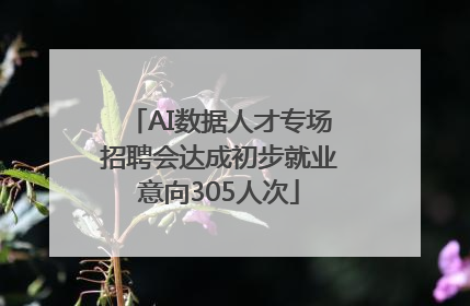 AI数据人才专场招聘会达成初步就业意向305人次