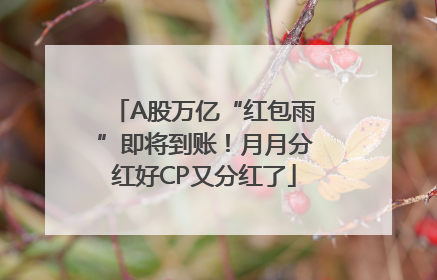 A股万亿“红包雨”即将到账！月月分红好CP又分红了