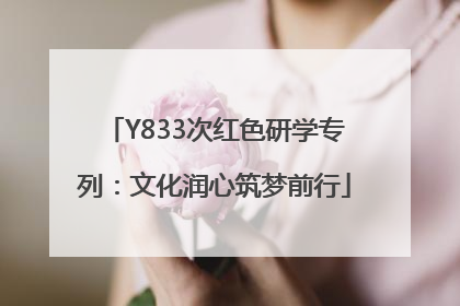 Y833次红色研学专列：文化润心筑梦前行